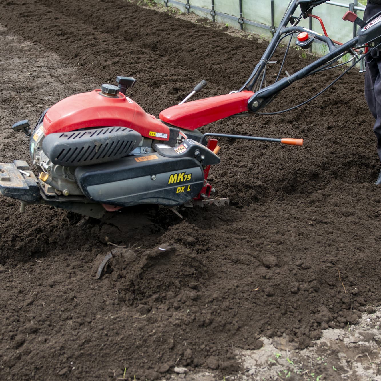 アグー 　早く処分したい〜様 アグー 早く処分したい〜様