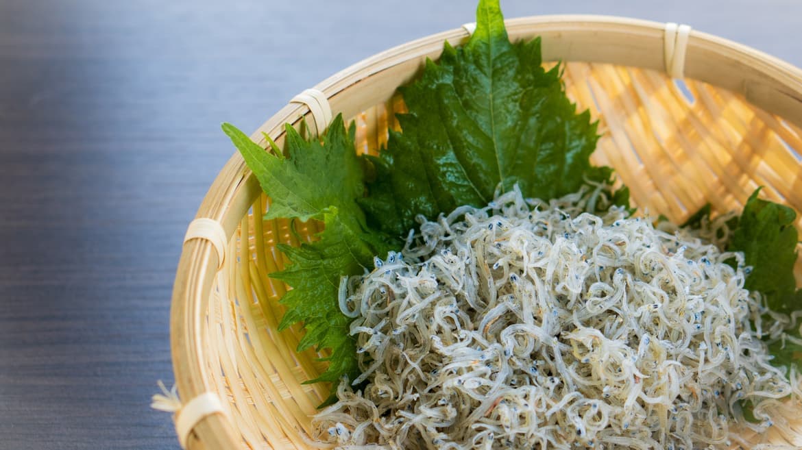 海産物問屋まるへい 地元、伊勢湾のじゃこ